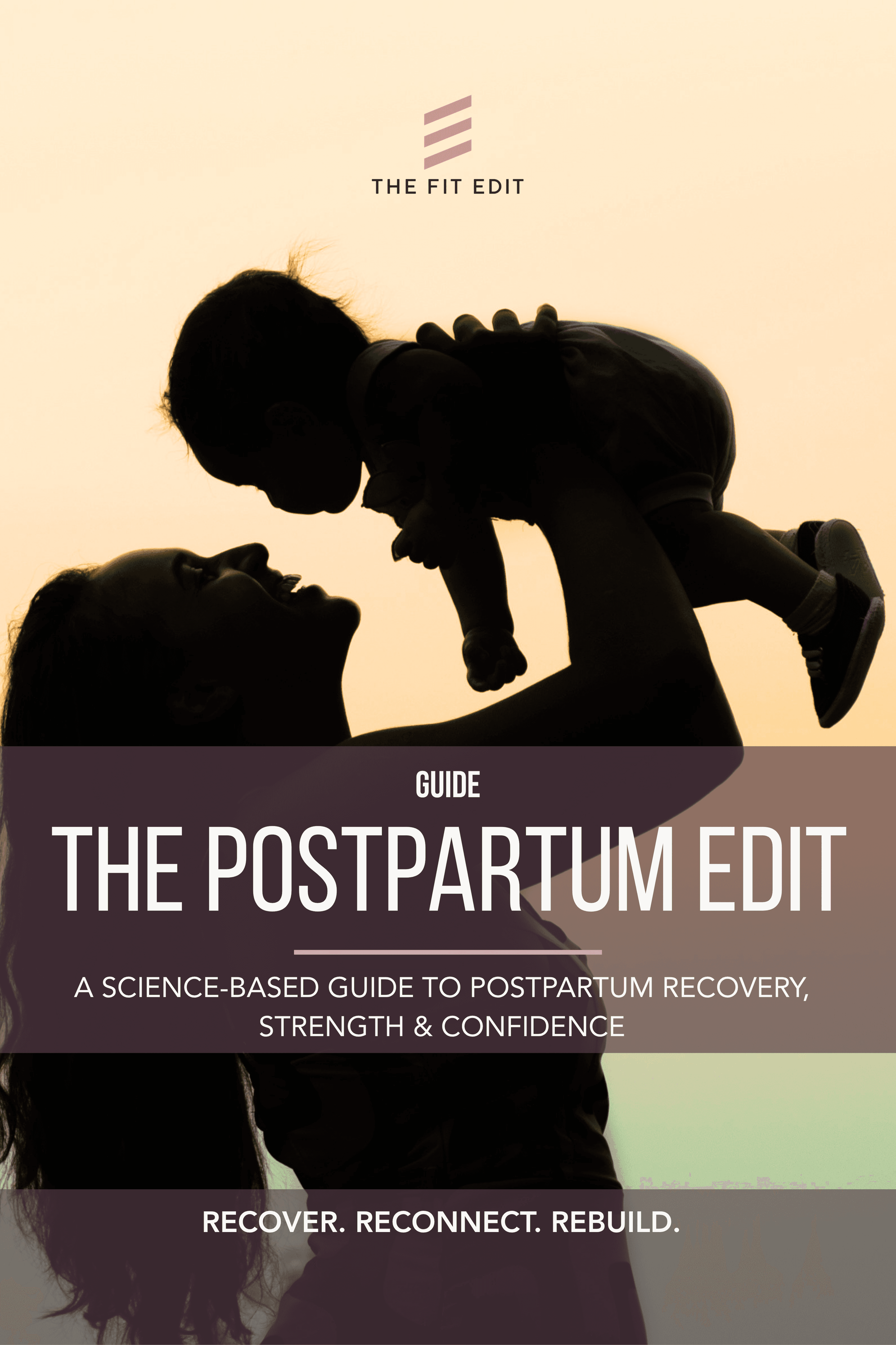 The Postpartum Edit book cover