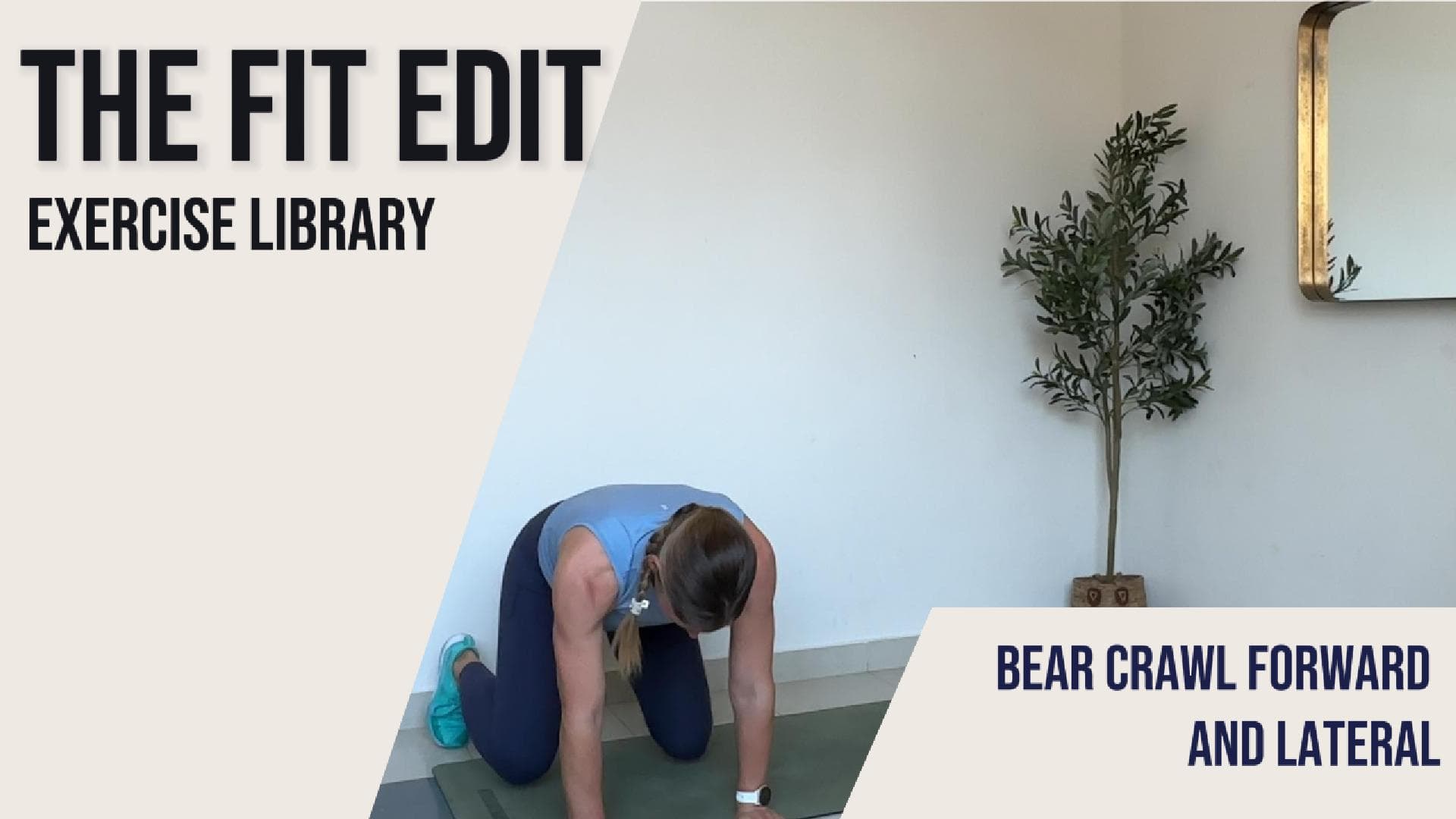 Bear Crawl Forward + Lateral
