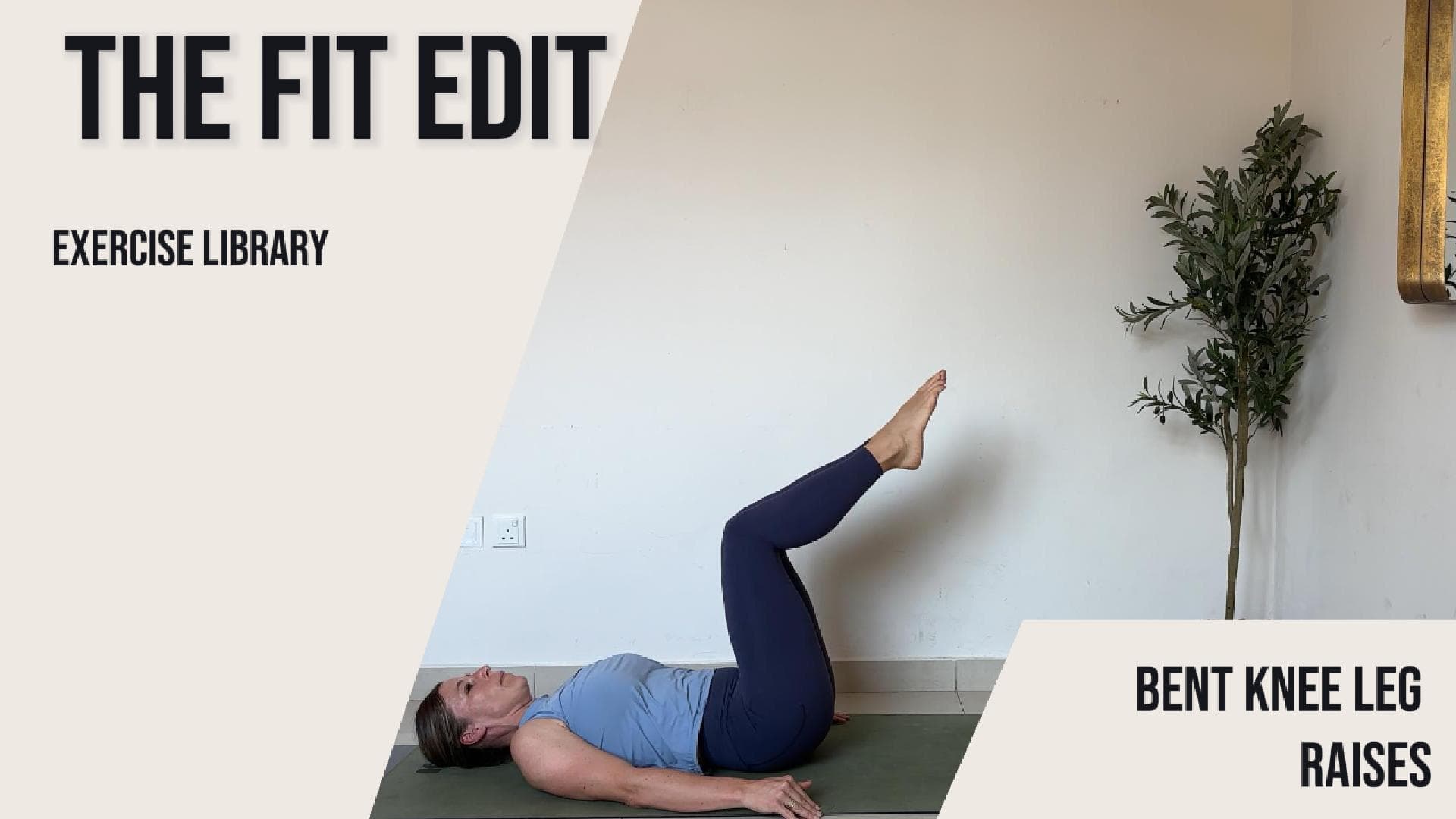 Bent-Knee Leg Raises