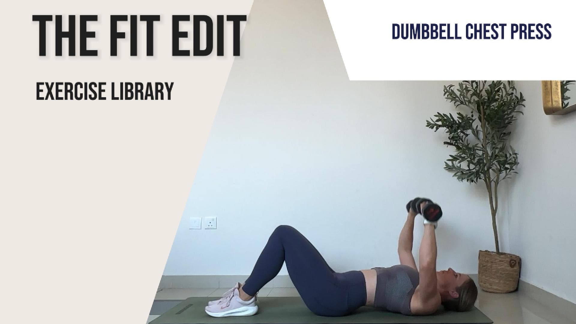 Dumbbell Chest Press