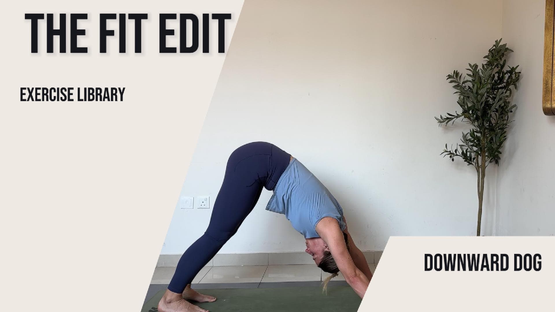 Downward Dog