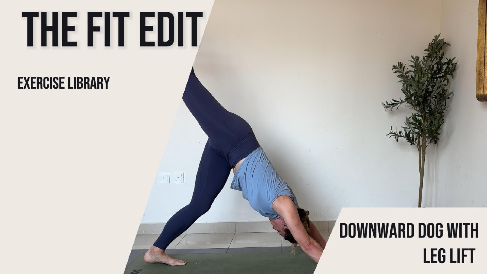 Downward Dog with Leg Lift