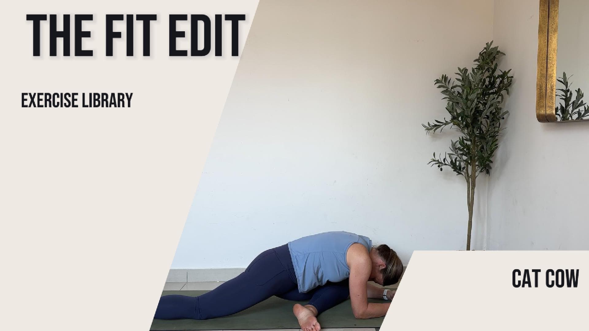 Pigeon Stretch