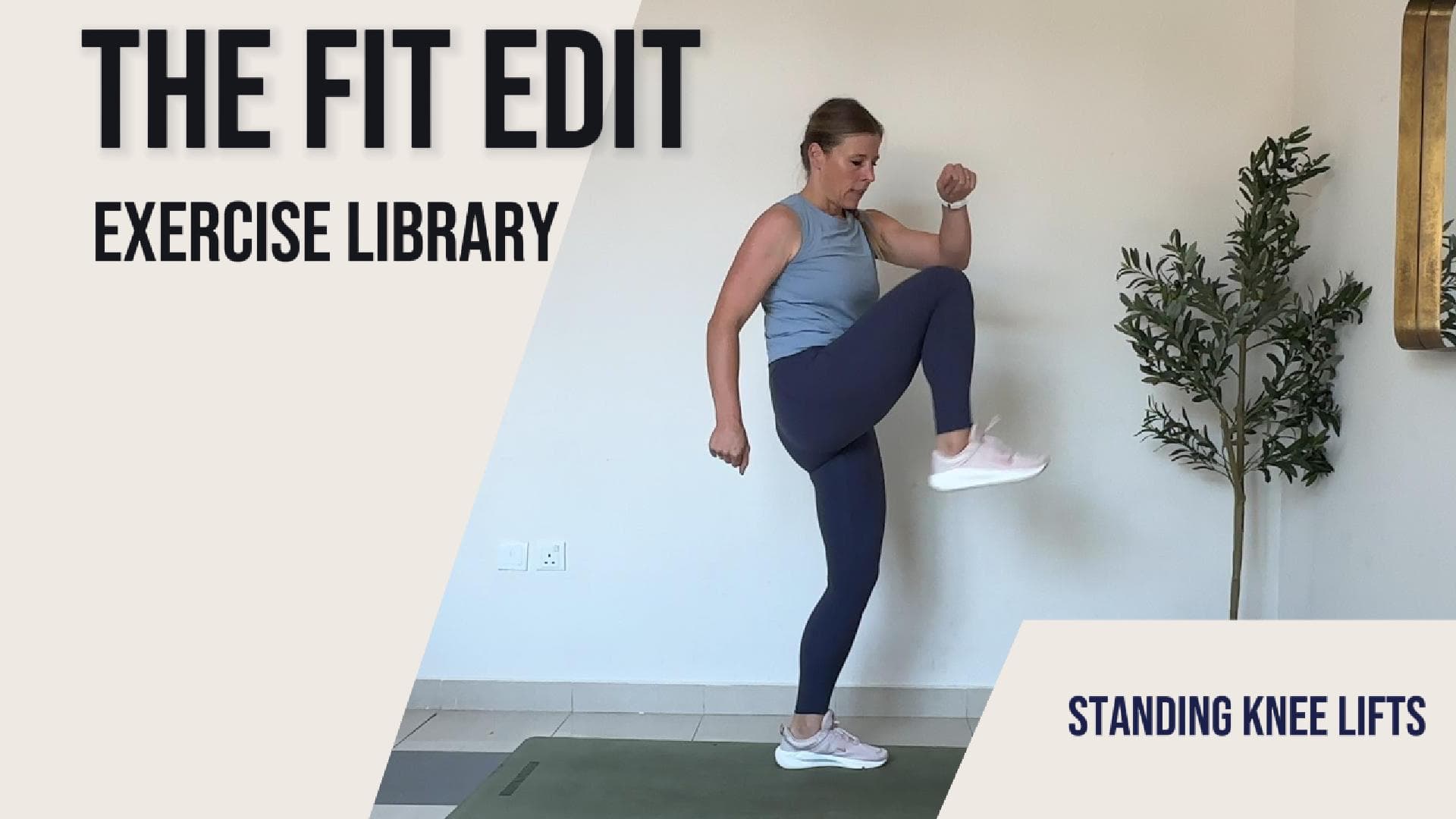 Standing Knee Lifts